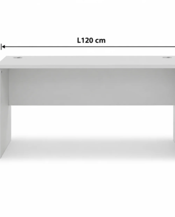 120cm Office Desk Straight Wooden Table Light Grey